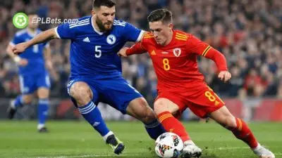 Sead Kolasnic of Bosnia defends against Harry Wilson of Wales